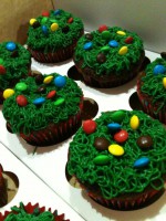 /album/i-love-cupcakes/a182151-129157510559248-176640922-n-jpg1/