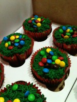 /album/i-love-cupcakes/a387097-129157580559241-1016422449-n-jpg1/