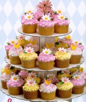 /album/i-love-cupcakes/a483154-129158440559155-507414743-n-jpg/